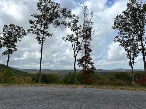 Lot 173 Shagbark Court, Ellijay, GA 30541