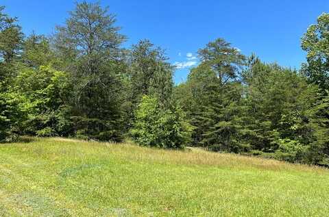 Lot 46a Licklog Ridge, Hayesville, NC 28904