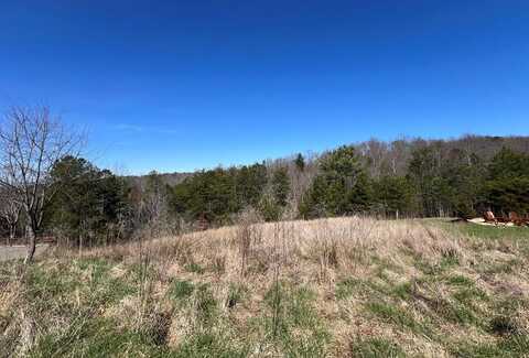 Lot 21 High Meadows Drive, Morganton, GA 30560