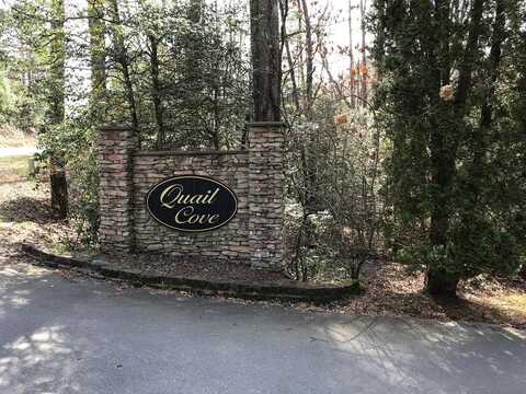 11a Snipe Hollow Lane, Brasstown, NC 28902