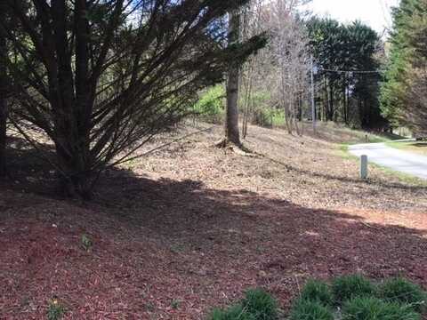 Lot 28 Sneaking Creek, Hayesville, NC 28906