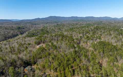 3+ac Coatopa Court, Ellijay, GA 30540