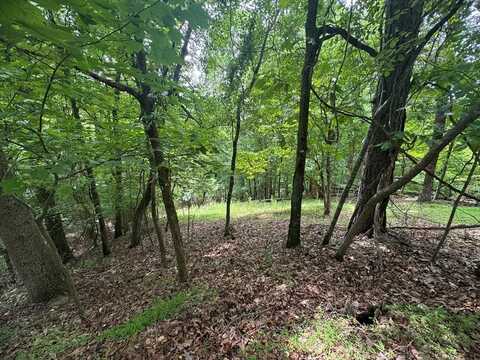 Lot 468 Cherokee Court, Ellijay, GA 30540