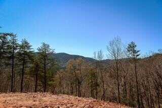 Clearview Mountain, Blue Ridge, GA 30513