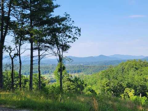 Hillbilly Holler, Hayesville, NC 28904