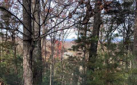 Lot12 Apple Valley, Blairsville, GA 30512