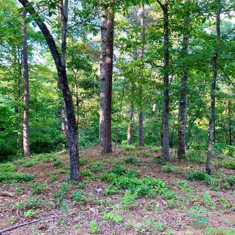 Lot 27 Solo View, Warne, NC 28909