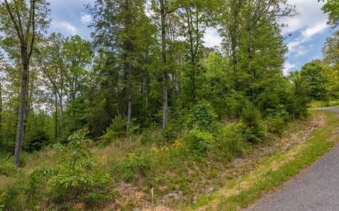 Lot Hp22 Old Toccoa Loop, Mineral Bluff, GA 30559