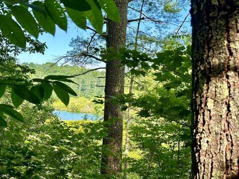 Lot 46 Trillium Heights, Hayesville, NC 28904