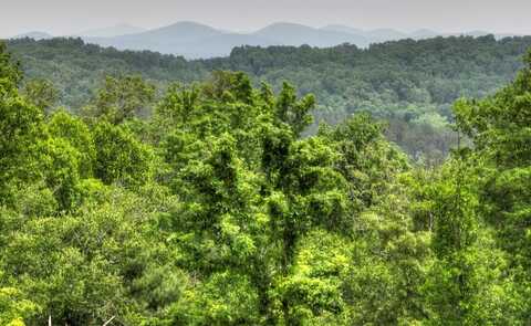 Lot 2 Hidden Acres, Blue Ridge, GA 30513