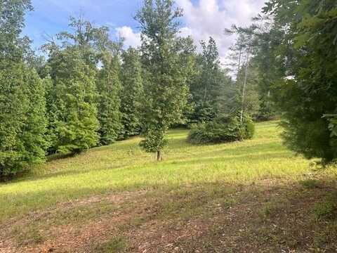 Lot 109 Riverside On Lake Nottely, Blairsville, GA 30512