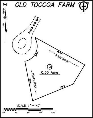 Lot 195 Trails End Way, Mineral Bluff, GA 30559