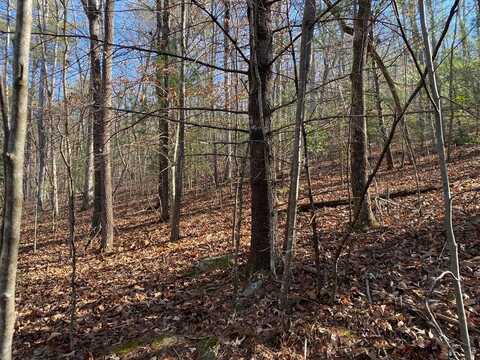 Lot 13 Acres Townhouse Cir, Blairsville, GA 30512