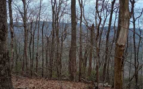 Big Creek Road, Ellijay, GA 30536