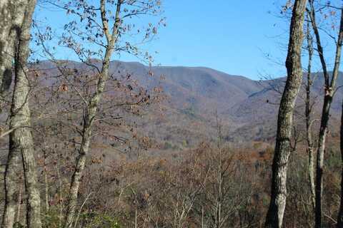 4 Gabriel Ridge Road, Hayesville, NC 28904