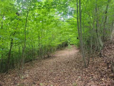 Lot 25 Double Knob Drive E, Hayesville, NC 28904