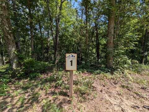 Lot 1 White Oak Circle, Blue Ridge, GA 30513