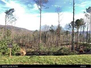 Lot 131 Lot 131 Twisted Oak, Ellijay, GA 30540