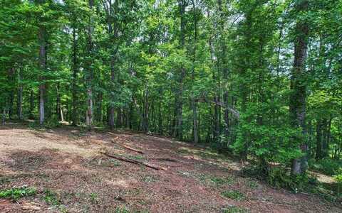 Lot 91 The Preserve Lot 91, Young Harris, GA 30582