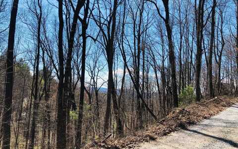 Lt113 Laurel Lane, Clayton, GA 30525