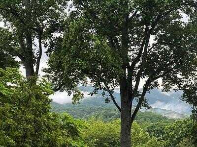 Lt 9 McRidge Drive, Hiawassee, GA 30546