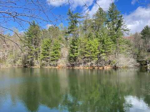 Lot 42 Hidden Lake Drive, Cherry Log, GA 30522