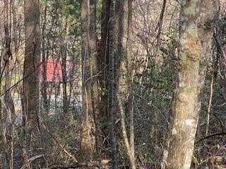 Lot 2 Hwy 129/19 S, Blairsville, GA 30512