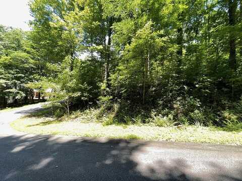 Lot 4 Fodder Creek Mill Drive, Hiawassee, GA 30546