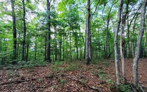 Lot 21 Rye Field Road, Murphy, NC 28906