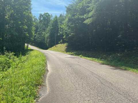 Tract 1 Flag Pole Road, Ellijay, GA 30540