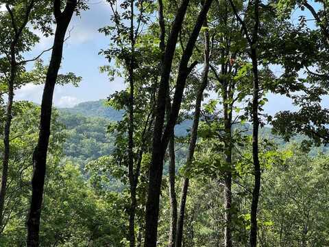 49.8 Stamey Cove Road, Hayesville, NC 28904