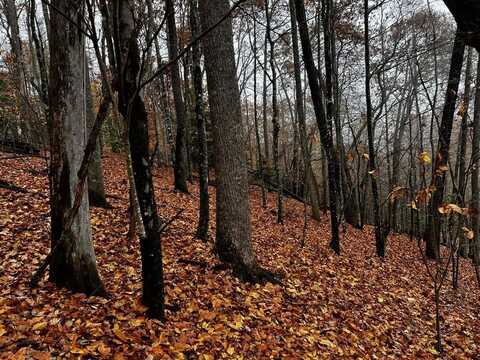 Mountain Top Drive, Murphy, NC 28906