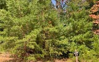 Lot17 Frances Drive, Ellijay, GA 30536