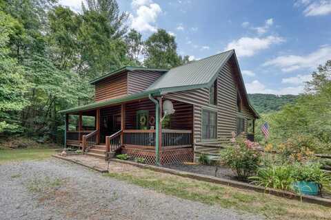 1320 RITCHIE CREEK RD, Blue Ridge, GA 30513