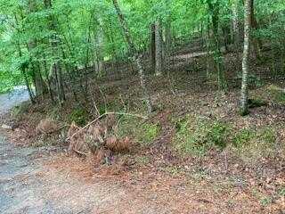 Lot 253 Holiday, Ellijay, GA 30540