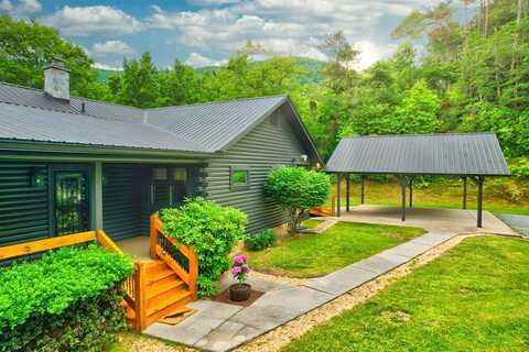 250 Crow Top Mountain, Blue Ridge, GA 30513