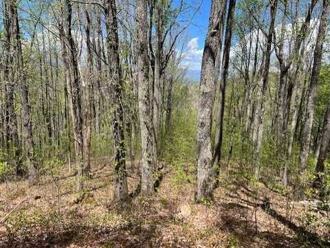 Lot 86 Rocky Knob Estate, Young Harris, GA 30582