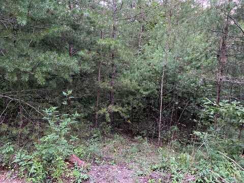 Whitecliff Drive, Ellijay, GA 30540