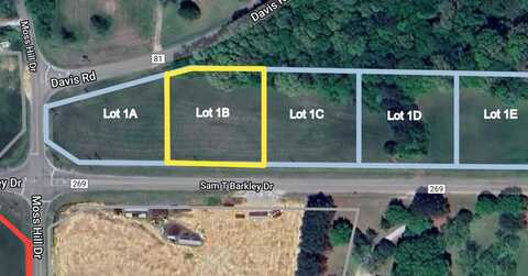 Lot 1B Sam T Barkley Dr., New Albany, MS 38652