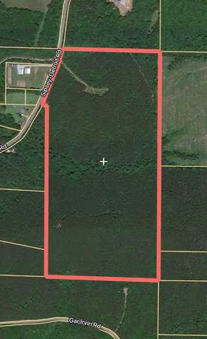 80 ac Sipsey Detroit Rd, Greenwood Springs, MS 38848