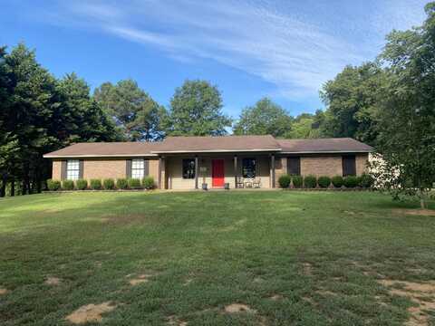 1728 CR 278, Blue Springs, MS 38828