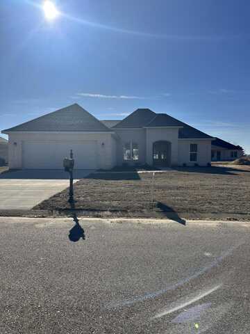 163 Benelli Dr., Guntown, MS 38849