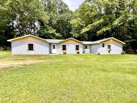 1029 Lake Lamar Bruce Road, Saltillo, MS 38866