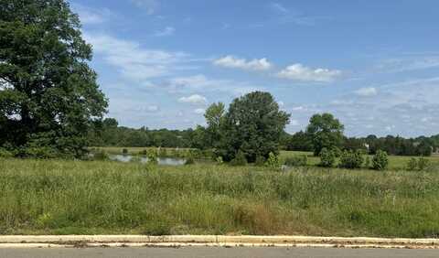 Longview Lake (Lot 14) Dr., Tupelo, MS 38801