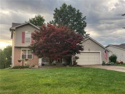 3510 Meander Reserve Circle, Canfield, OH 44406