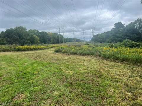 Chestnut Ridge Road, North Ridgeville, OH 44039