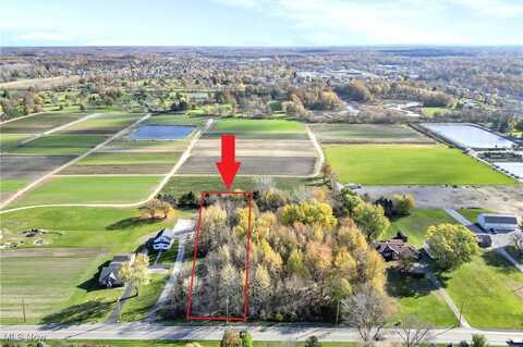 Center Road, Avon, OH 44011