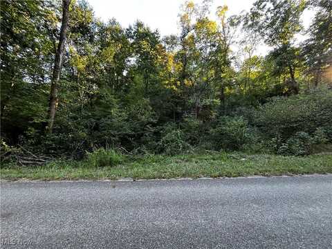 Township Road 432, Conesville, OH 43811