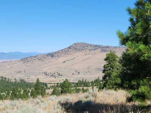 TBD REEVES BASIN RD, TONASKET, WA 98855