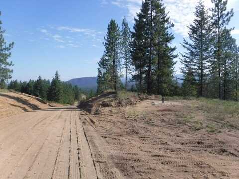 LOT 3 MOOSE RIDGE WAY, LOON LAKE, WA 99148